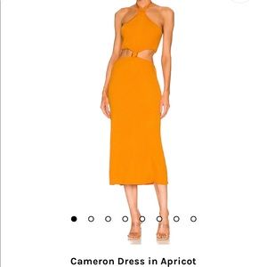 Cult Gaia Cameron Dress